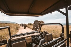 safari destinations