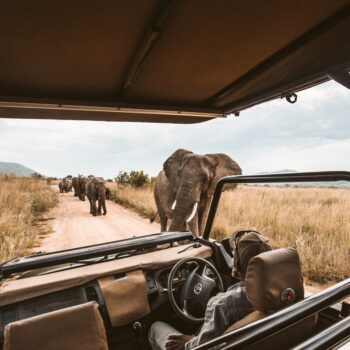 safari destinations